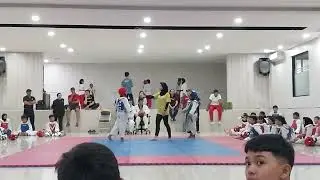 DADAN TRY OUT TAEKWONDO PLATDA GOR SENEN JAKPUS