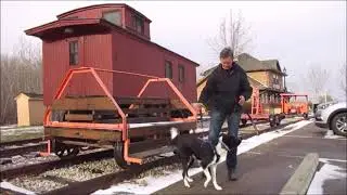 Djin's ADP All Dogs Parkour Level 4 title - video 3 of 3