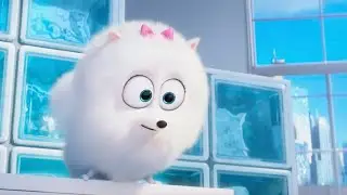 The Secret Life of Pets: Unleashed - LEVEL 60