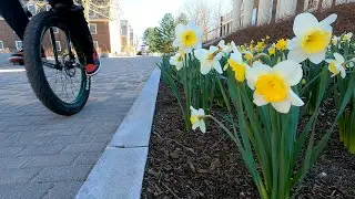 From Winter to Spring on a Unicycle