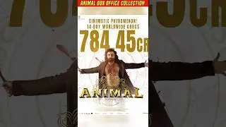 Animal 14 Days Box Office Collection #shorts #shortsfeed #ytshorts