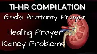 11 Hour Compilation | How To Speak Healing Upon Your Body | Healing Prayer For Kidney Problems