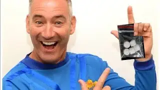 The wiggles controversy 