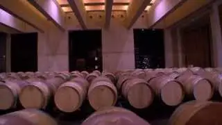 Elaboraci&oacute;n del vino en bodega