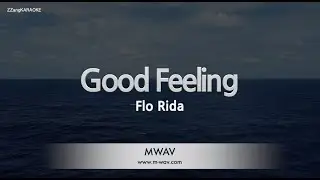 Flo Rida-Good Feeling (Melody) [ZZang KARAOKE]