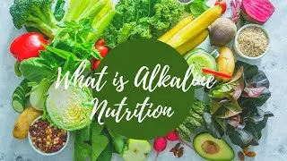 Day 3 | Why Alkaline Nutrition | What is Alkaline diet | What foods are Alkaline | 100days Challenge