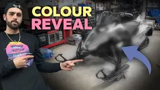 ARCTIC CAT COLOUR REVEAL