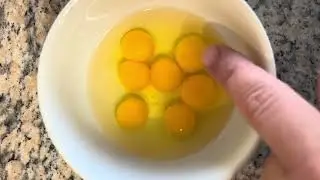 Checking quail egg fertility