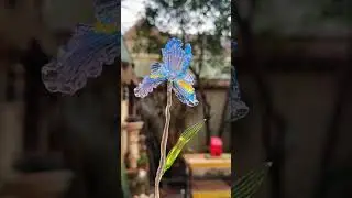 玻璃|鸢尾花🦋升级版鸢尾花来啦！#安福路 #来自星星的艺术家 #烧玻璃 #diy #烧玻璃diy #玻璃艺术 #灯工玻璃 ＃鸢尾花＃玻璃