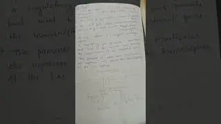 Regulation of lac Operon.