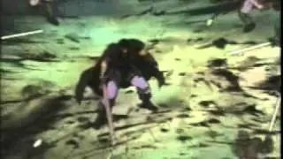 soulfly jump da fuck up (berserker)