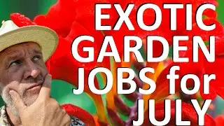 Tropical Gardens UK:  Exotic Garden Jobs for July