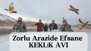 ZORLU ARAZİDE EFSANE KEKLİK AVI   #partridgehunt #hunting #birds #keklikavı  полювання на куріпок