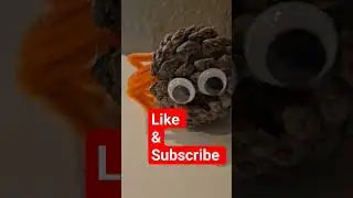 like and subscribe to confuse the youtube algorithm #tbi #youtubehobbyist