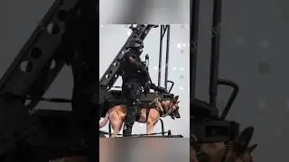 NSG Commando # NSG# motivation video#trending# viral video🙏