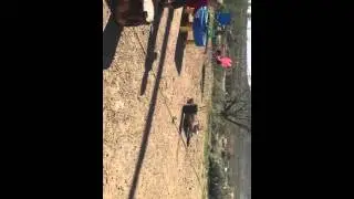 Simple Shot Shooting Sports Wooden Nickel Challenge #2