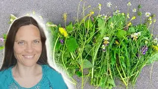 Essbare Wildpflanzen im Sommer sammeln und essen!