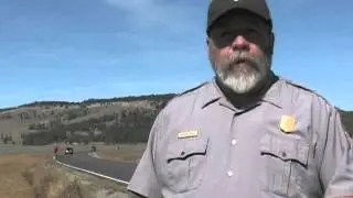 Bicycling in Yellowstone