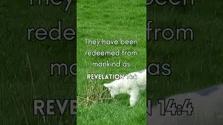 Revelation14:4  #motivation #viral #quotes #bibleverse