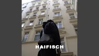 Haifisch