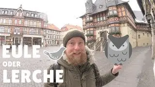 Langschl&auml;fer oder Fr&uuml;haufsteher - das Geheimnis der Produktivit&auml;t | 030 [sic!] in Sachsen-Anhalt