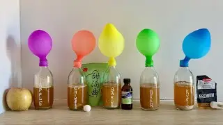 I Fermented the Same Beer 🍺 with 5 Different Yeasts &ndash; Surprising Results 😱