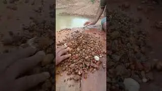 💎 Ceylon Gem Mine & Results | From Earth to Treasure ✨ Sri Lanka&rsquo;s Hidden Gems #shorts