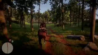 Прямой показ PS4 от Easy_4ch Rdr 2