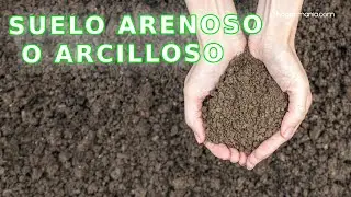 &iquest;Conoc&eacute;is los diferentes tipos de suelo para huerto? SUELO ARCILLOSO o ARENOSO