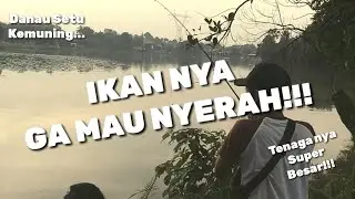 STRIKE BERKALI-KALI..!!! || DANAU SETU KEMUNING || MANCING MANIA - MANTAPPPP..!!!