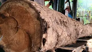 AMAZING! How strong is the machine for splitting large teak wood for beautiful joglo beam frames? 