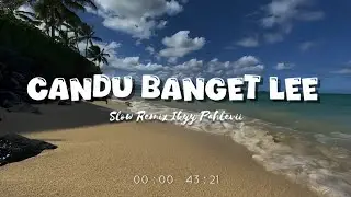 Candu Banget Lee 🍃 [Playlist Candu] - Slow Remix Relaxing Vibes [ Ikyy Pahlevii Mix Tape ] 🎶🎧