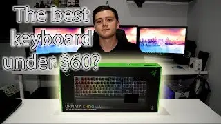 Amazing $60 keyboard! Razer Ornata Chroma Review!