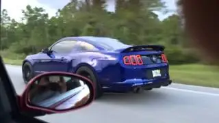 Cobra Terminator vs 2013 5.0 Mustang California Edition