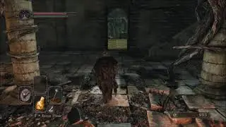 Dark Souls 2 SotFS Small Leather Shield Location