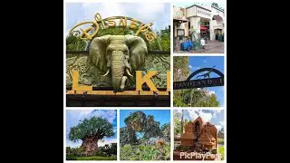 Mega Animal Kingdom Musical Walkthrough - 7.5 Hours