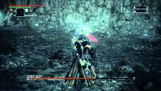 Bloodborne&trade; I-Frames baby
