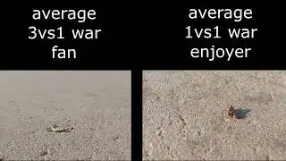 average eu4 mp players (facts only)