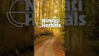Nuwati Herbals Autumn Tea