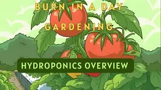 Hydroponics over view + all the tools you need to get started at home