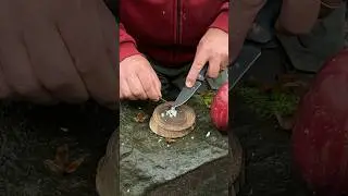 Amazing! Apples Have Natural Wax That Can Start a Fire! 🔥 #campping #survival #lifehacks
