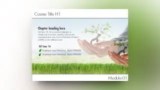How to fade a background image in PowerPoint