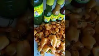 Salsa habanera..la colimota