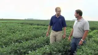 Stine Soybean Breeding Program