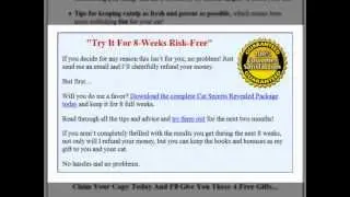 Cat Behaviour Secrets Revealed - Easy Step By Step