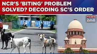 Decoding SC's Order To Remove Stray Dogs, 'Legal Action Against Those Resisting Relocation Of Dogs'