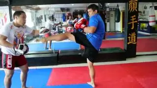 GAN SOO DO. PROFESSIONALS CLASS. FITNESS AND SELF DEFENSE