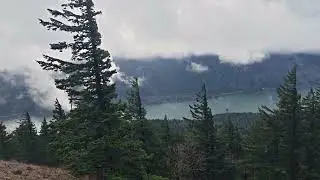 Dog Mountain, WA - Columbia River Gorge #hike #mountains #trail