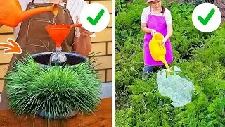101 Kiat Berkebun: Rahasia untuk Kebun Rumah yang Berkembang yang Tidak Pernah Anda Ketahui