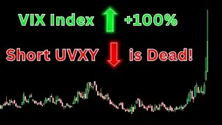 When the VIX spikes, can Short Volatility Traders lose everything?